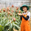 村木 愛