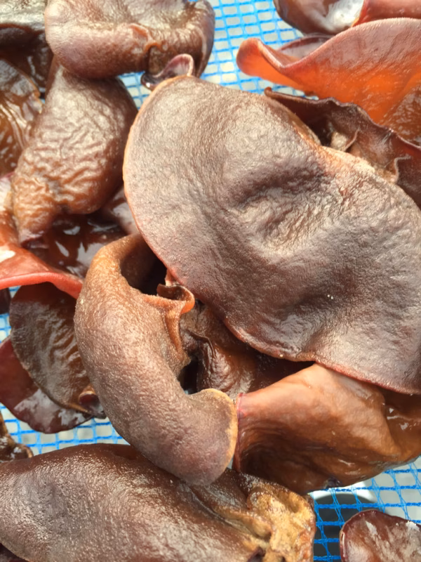 極上肉厚きくらげ 生と干し 食べ比べセット