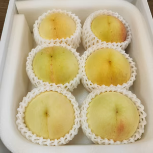 岡山産　ご自宅用白麗　6～7個入り