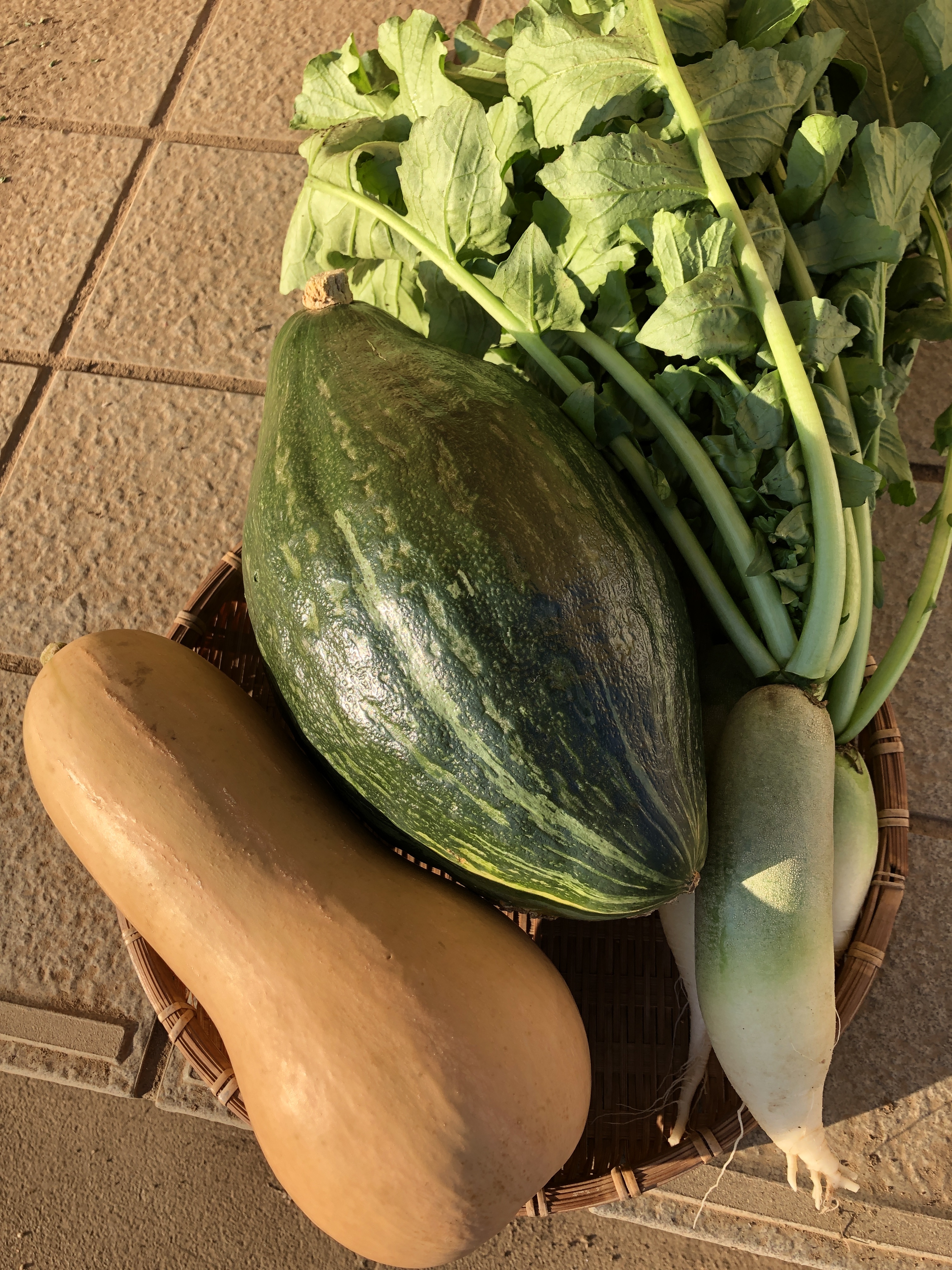 身体を温める野菜 カボチャと大根のセット ポカポカ 農家漁師から産地直送の通販 ポケットマルシェ