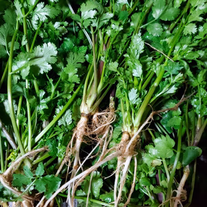 香しいサバイパクチーJAS有機✨限定1セットレターパックで