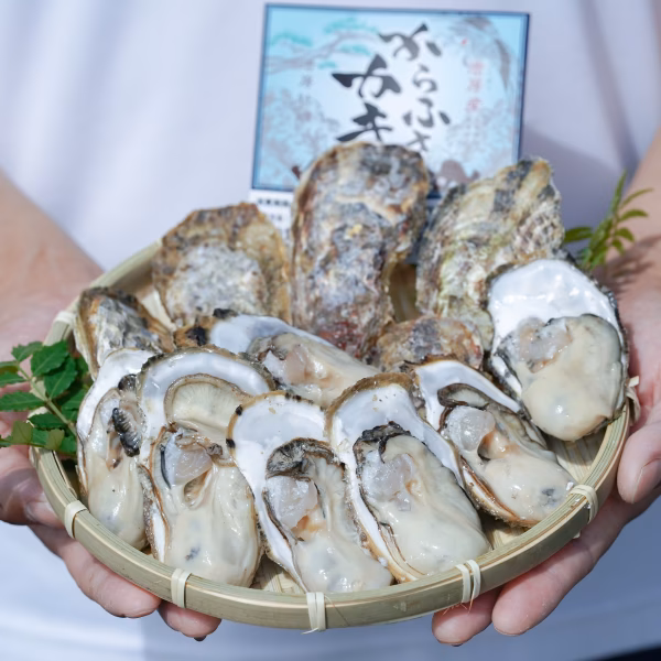 ライブコマース限定✨鮮度抜群・からふさ牡蠣✨２キロ箱