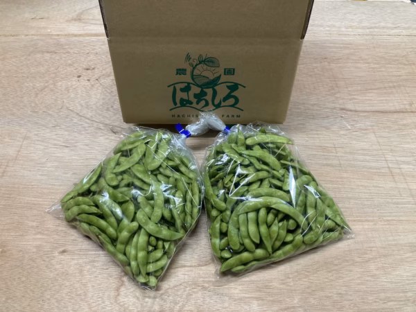 間違いなしの枝豆☆《1kg》