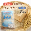 令和7年産 鹿児島県産ひのひかり「無洗米」米5Kg