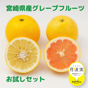 【お試しセット】国産グレープフルーツ(白＆ピンク・各２玉）