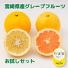 【お試しセット】国産グレープフルーツ(白＆ピンク・各２玉）