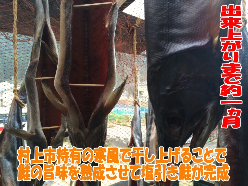 塩引き鮭　切り身セット パリッとした皮に塩が効いた鮭の旨味が魅力