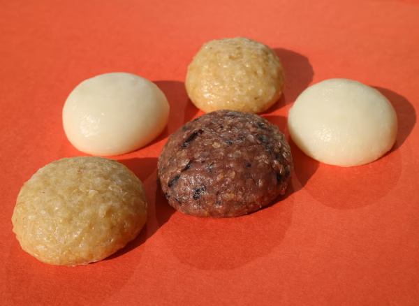 【２月２４日発送】お試し玄米餅５個入り（丸餅）