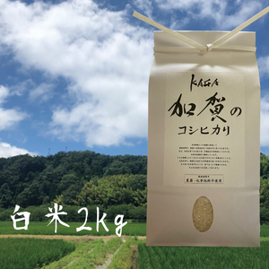 【農薬・化学肥料不使用】令和2年産-加賀のコシヒカリ白米2㎏