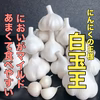 【月1,000箱即完売・テレビで紹介】最高級・青森にんにく白玉王（中～小玉）