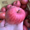 ☆ジューシー美味蜜入り！？★完熟サンふじ☆家庭用B級品　