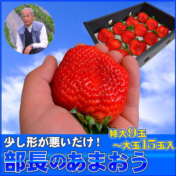 訳あり【特大】あまおう9〜15玉入×2箱 苺(いちご)イチゴの王様アマオウ