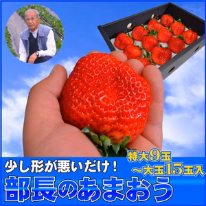 訳あり【特大】あまおう9〜15玉入×2箱 苺(いちご)イチゴの王様アマオウ