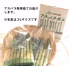 春どり太アスパラ　お得な訳あり品