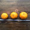 【福袋2024】小さなポンカンでオレンジペースト作ろう！【農薬不使用】