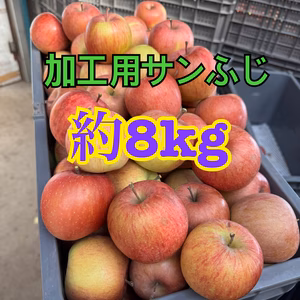 【加工用】サンふじ約8kg