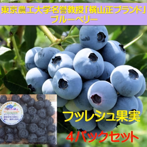 東京農工大学名誉教授「横山正ブランド」ブルーベリー新鮮果実：北方系4パック