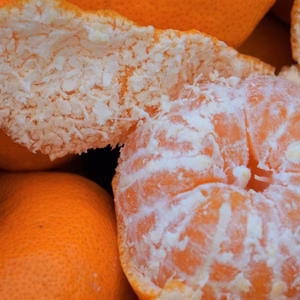 みかん大玉祭り！！2L.3L　家庭用！内容量選べます！