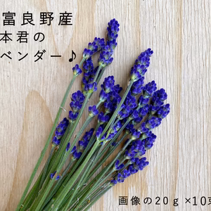 【上富良野産】ラベンダーの生花【200ｇ】インテリアやドライフラワー・ポプリに♪
