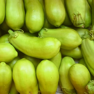 なす＊3兄弟/とろ～りパワーで夏を楽しもう！農薬/化学肥料・不使用