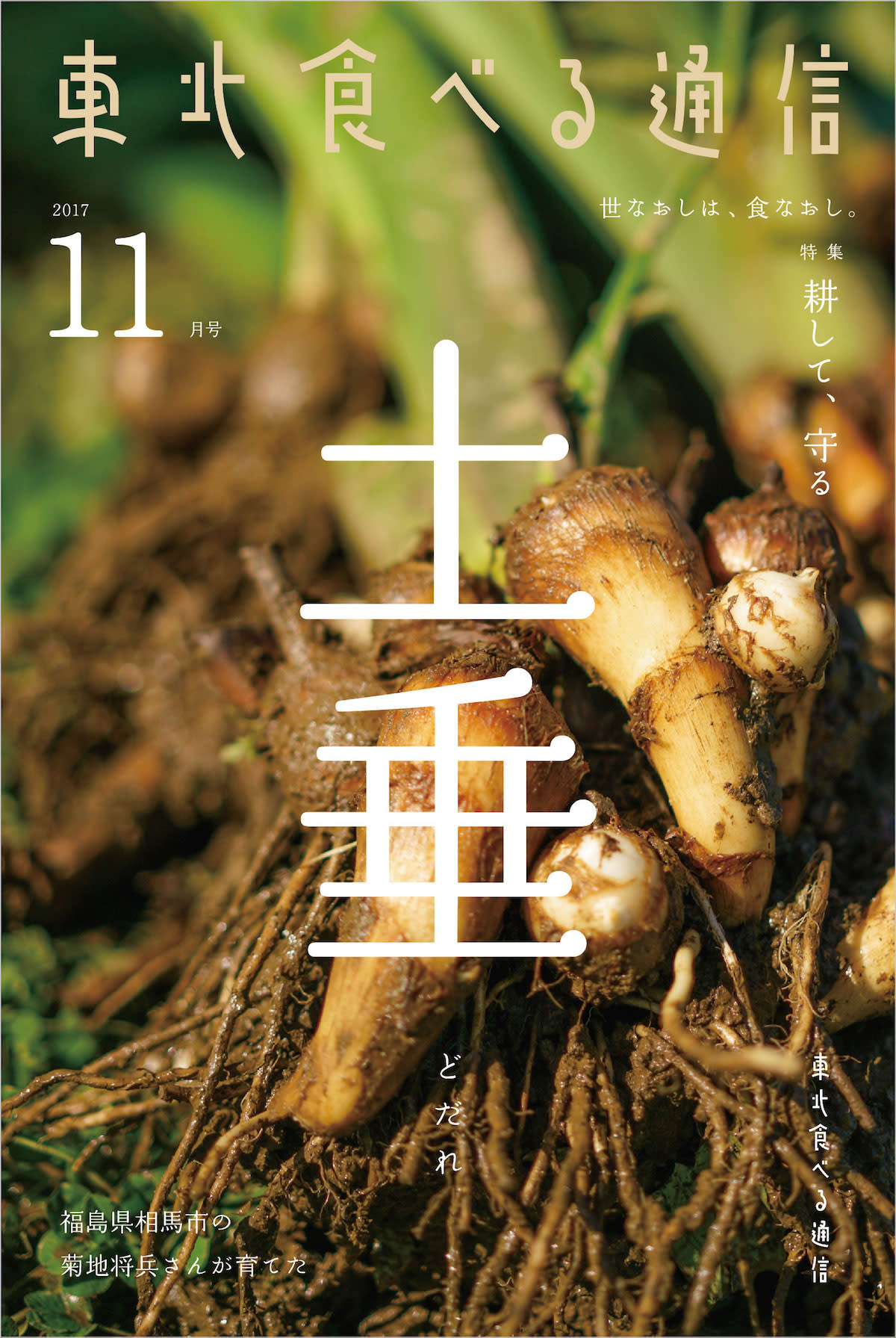 幻の伝統野菜 サトイモ 相馬土垂 食べる通信冊子付 農家漁師から産地直送の通販 ポケットマルシェ