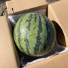 みかん農家が作る！　スイカ^_^！　　送料無料！！