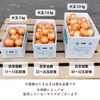 毎日5名様限定！【大玉】淡路島産たまねぎ 特別栽培 兵庫県認証食品 レシピ付き