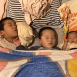 わらじん