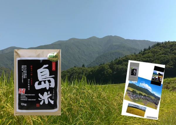 R3産 特別栽培米 幻のコシヒカリ最上流の上級米10k白米