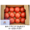 うまみたっぷり！大玉トマト