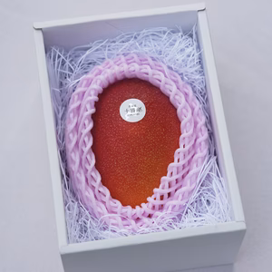 北海道真冬のマンゴー「十勝マンゴー」2Lサイズ１玉（箱入れ）