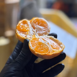 大人気！！プレミアム有田みかん　小玉みかん　　SMサイズ