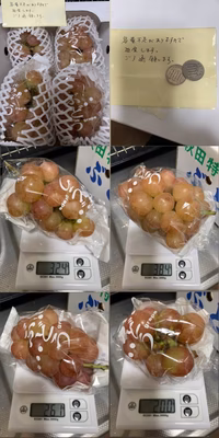 みんなの投稿の画像