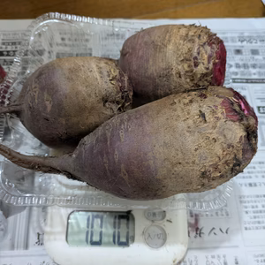 甘い八ヶ岳高原のビーツ　300g〜450の特大玉（農薬・化学肥料不使用）