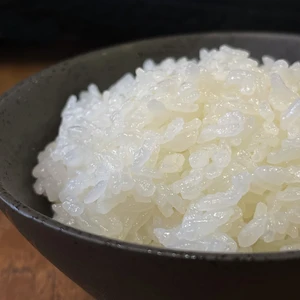 特別栽培米コシヒカリ（白米）　令和5年石川県産