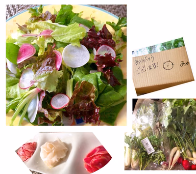 みんなの投稿の画像