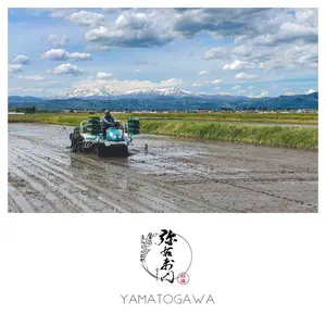 【新米】雪蔵銀ぴか米（コシヒカリ）特別栽培米（減農薬減化学肥料）