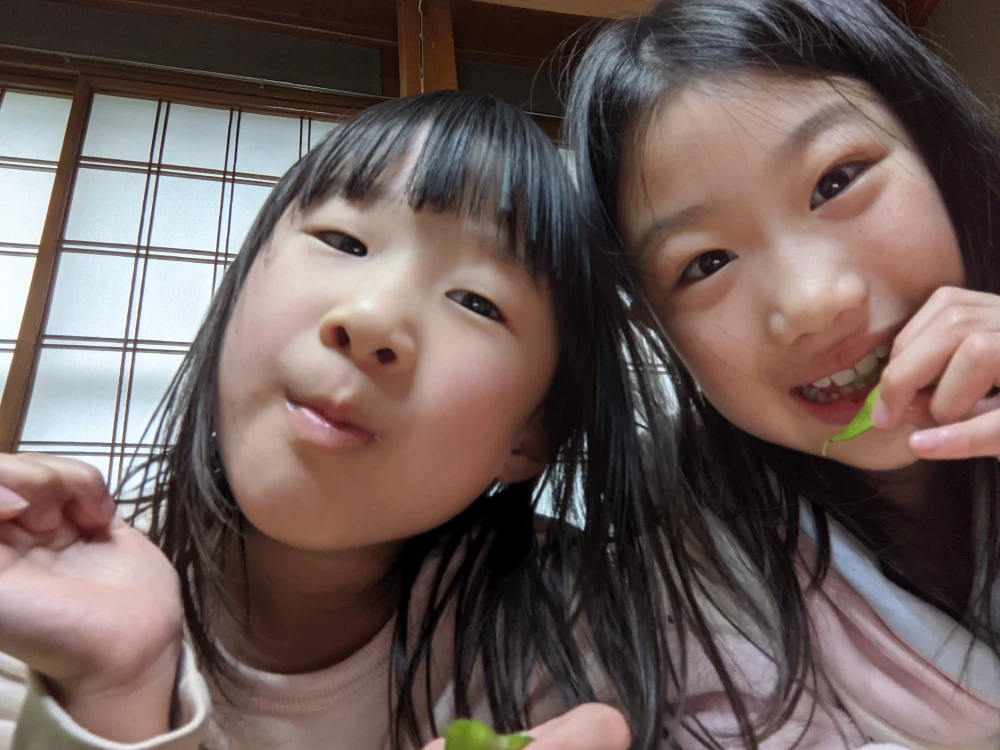 ＜ふるさと納税対応＞１２月限定特典！手が止まらない冷凍だだちゃ豆