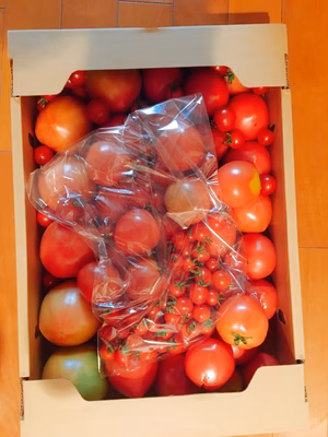 みんなの投稿の画像