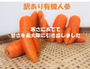 有機にんじん【訳あり品5kg】サラダ、ジュース用におすすめ！平均糖度10度超え！
