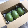 ミニ冬瓜　8玉（10〜12kg）＜農薬・化学肥料不使用＞