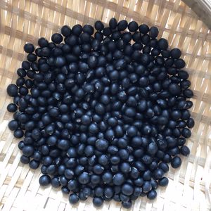 小粒大豆　黒千石