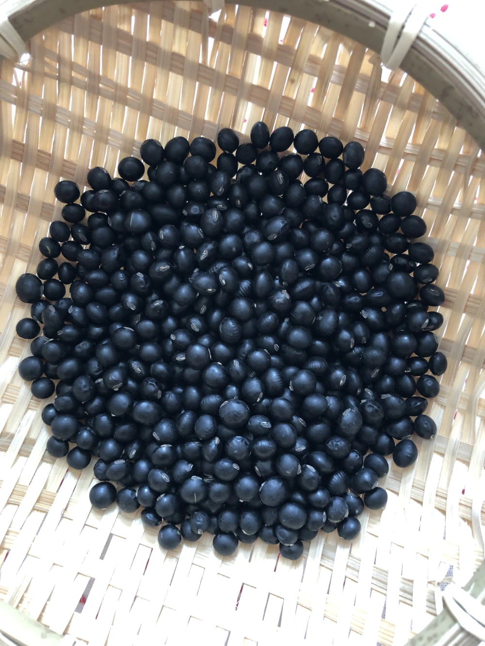 小粒大豆　黒千石