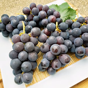 ☆★お買い得★☆甘い！大粒ぶどうの巨峰（2㎏）【5～7房程度】/熨斗対応可