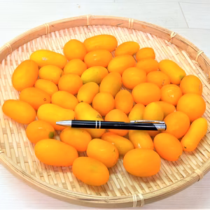 何が入るかお楽しみ！農薬不使用（無農薬）栽培夏野菜おまかせセット