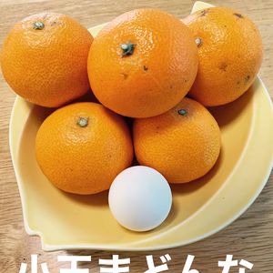 小さいまどんな　20~25個　箱込4キロ　