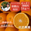 農家直送！はっさく　家庭用5kg〜【平武農園】和歌山｜有田｜田口｜こだわり