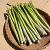 【迷ったらコレ】信州安曇野産アスパラガス【使い勝手の良いLサイズ♪】