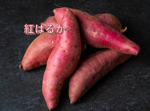 熊本県産さつまいも 紅はるか 自然栽培 無農薬 無肥料20kg サトシ 熊本県産さつまいも 紅はるか 自然栽培 無農薬 無肥料20kg サトシ様専用