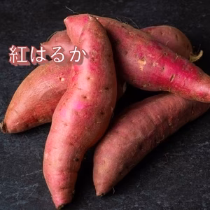 甘熟・無農薬【 紅はるか 】S～Lサイズ混載 ３kg 　希少な北海道産